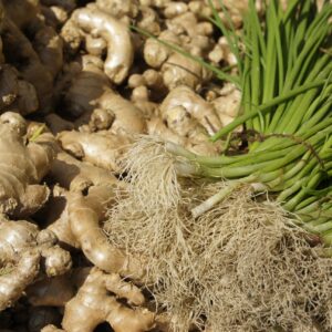 পাহাড়ী আদা (এক কেজি)