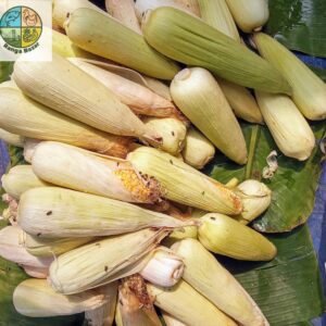 পাহাড়ী ভুট্টা (এক পিস)